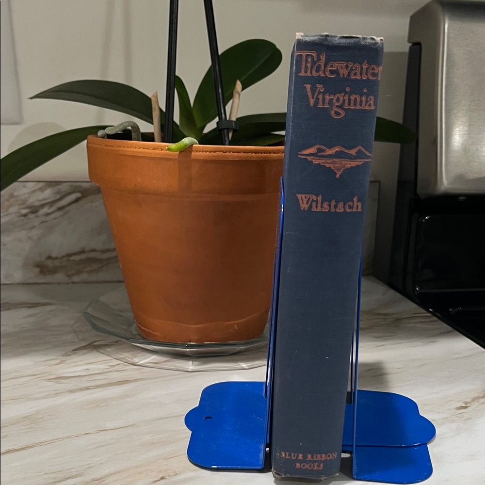 Tidewater Virginia Blue Ribbon Books by Paul Wilstach Hardcover 1929